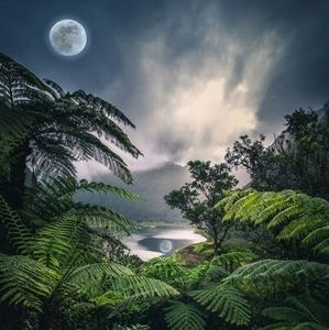 Meet your Posher, Chloe